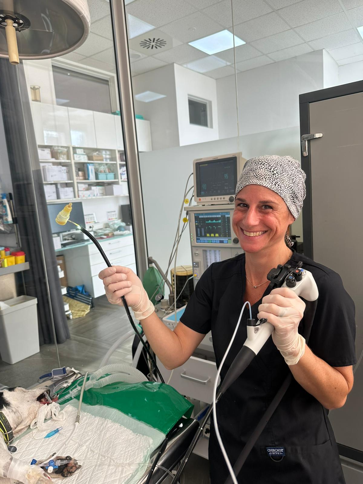 Carolina Neumann, cirujana veterinaria, en quirófano con equipo de endoscopia